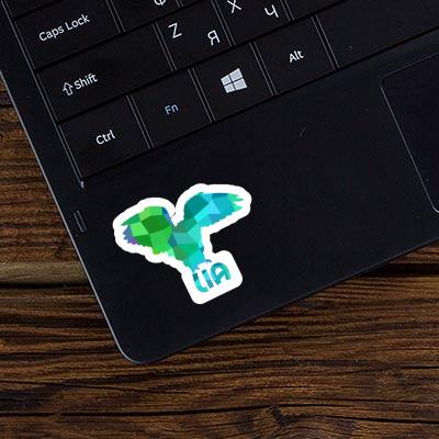 Sticker Owl Lia Laptop Image