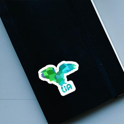 Eule Sticker Lia Laptop Image