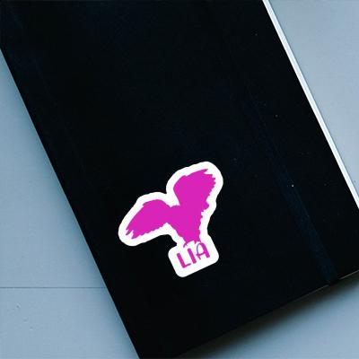 Owl Sticker Lia Laptop Image