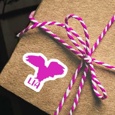 Autocollant Hibou Lia Gift package Image