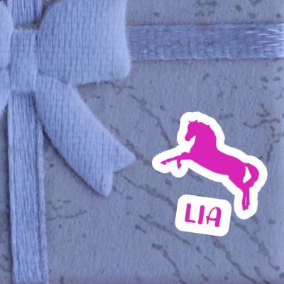 Horse Sticker Lia Gift package Image