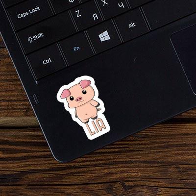 Lia Sticker Pigg Laptop Image