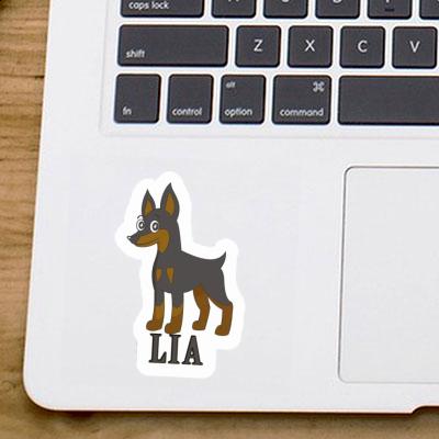 Sticker Pinscher Lia Laptop Image