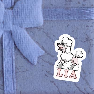 Sticker Pudel Lia Gift package Image