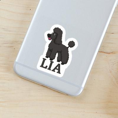 Poodle Sticker Lia Gift package Image