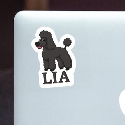 Poodle Sticker Lia Gift package Image