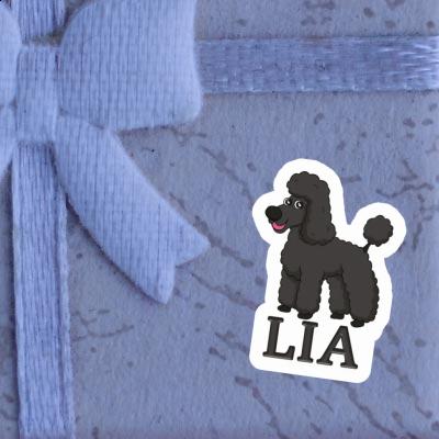 Poodle Sticker Lia Laptop Image