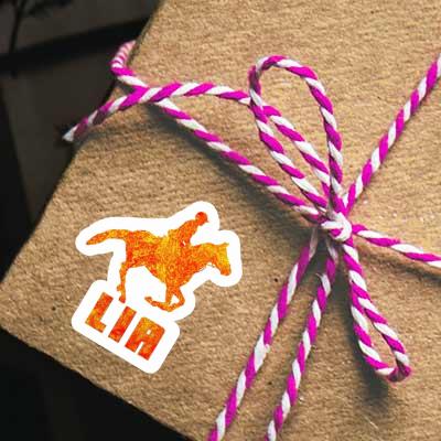 Sticker Lia Horse Rider Notebook Image