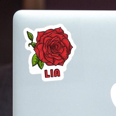 Lia Sticker Rose Gift package Image