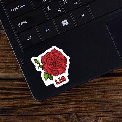 Autocollant Lia Fleur de rose Laptop Image