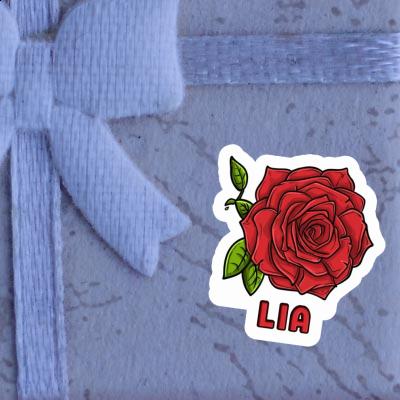 Lia Sticker Rose Gift package Image