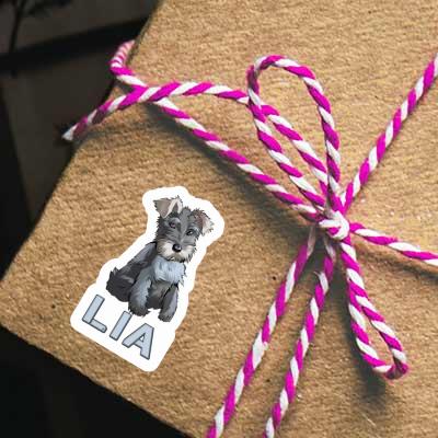 Aufkleber Schnauzer Lia Gift package Image