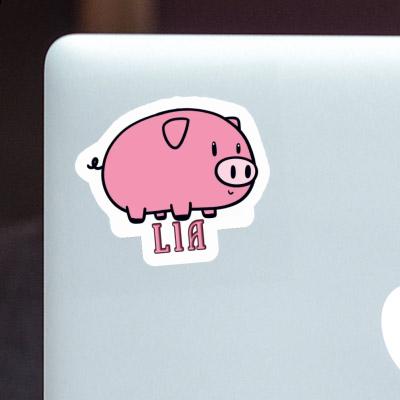 Sticker Lia Pig Gift package Image