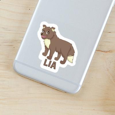 Sticker Sheepdog Lia Gift package Image