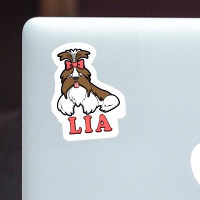 Sticker Lia Shih Tzu Laptop Image