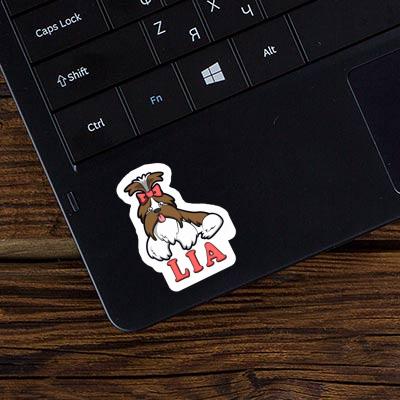 Sticker Lia Shih Tzu Gift package Image