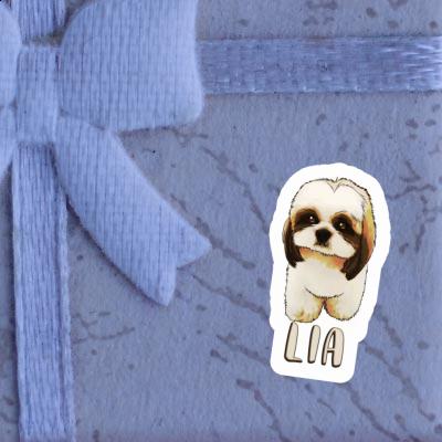 Autocollant Lia Shih Tzu Gift package Image