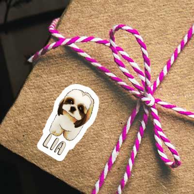 Autocollant Lia Shih Tzu Gift package Image