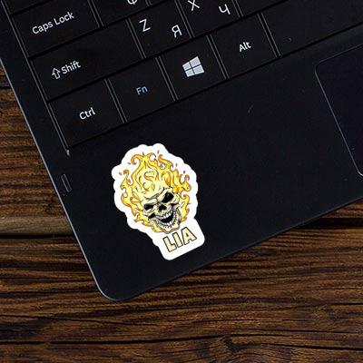 Lia Sticker Skull Gift package Image