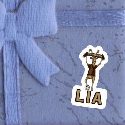 Sticker Lia Capricorn Gift package Image