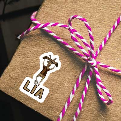 Sticker Lia Capricorn Gift package Image