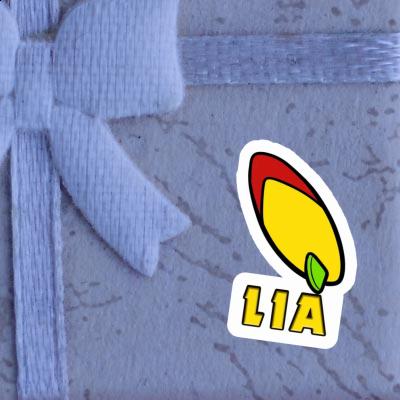 Surfboard Sticker Lia Gift package Image