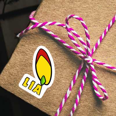 Surfboard Sticker Lia Gift package Image