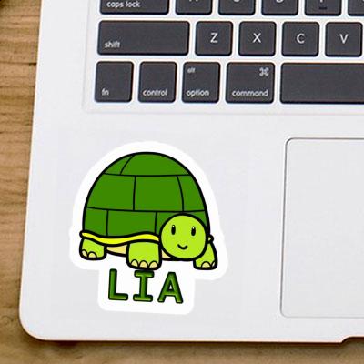 Turtle Sticker Lia Laptop Image