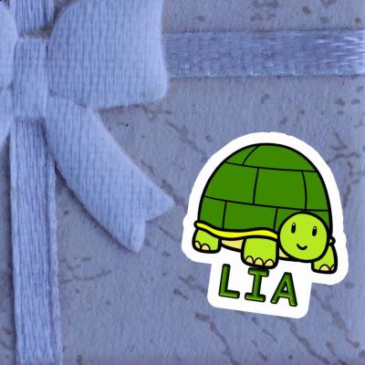 Turtle Sticker Lia Gift package Image