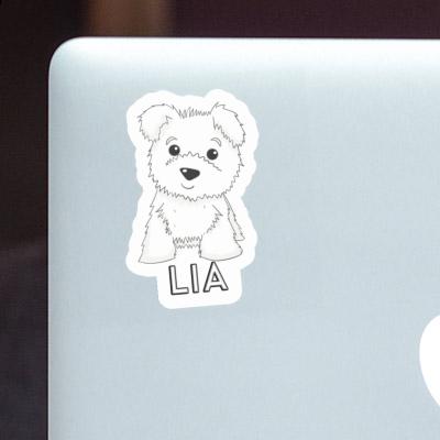 Lia Sticker Terrier Gift package Image