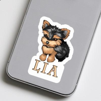 Sticker Yorkshire Terrier Lia Gift package Image