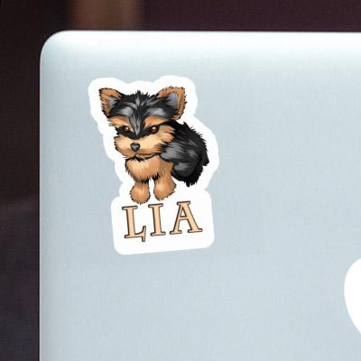 Autocollant Lia Yorkie Laptop Image