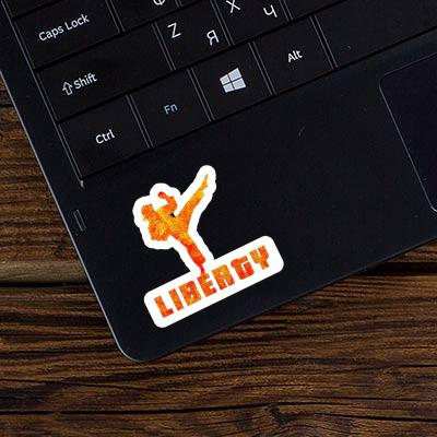 Sticker Liberty Karateka Notebook Sticker Liberty Karateka Gift package Image