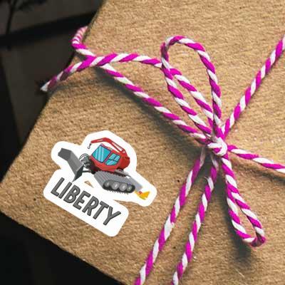 Autocollant Liberty Dameuse Laptop Image