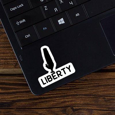 Autocollant Windsurfer Liberty Gift package Image