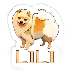 Sticker Lili German Spitz Image