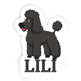 Sticker Poodle Lili Image