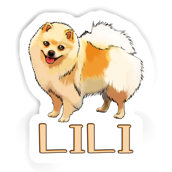 Sticker Lili German Spitz Gift package Image