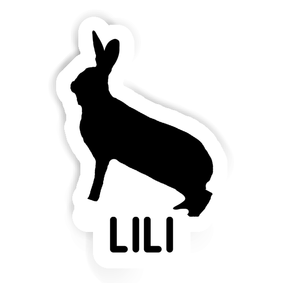 Rabbit Sticker Lili Gift package Image