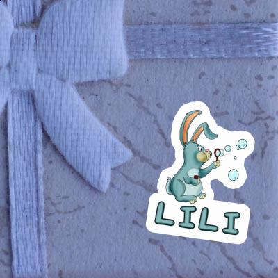 Lili Sticker Rabbit Gift package Image