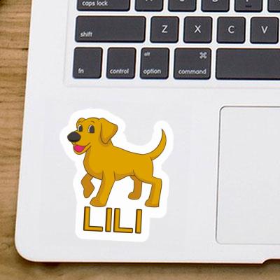 Labrador Sticker Lili Laptop Image