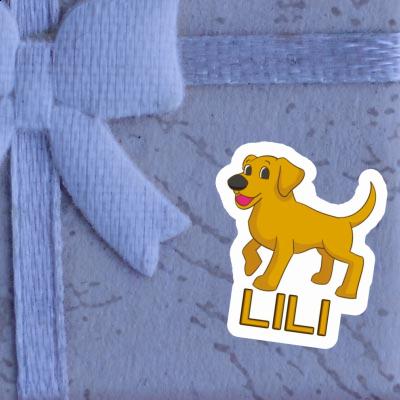 Labrador Sticker Lili Gift package Image