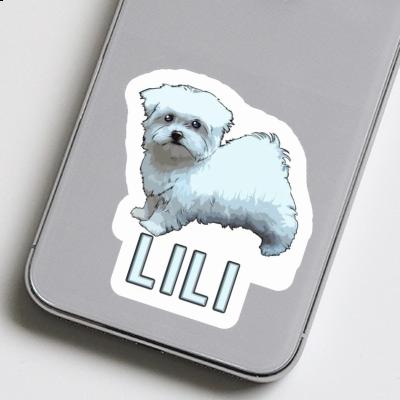 Sticker Maltese Dog Lili Gift package Image