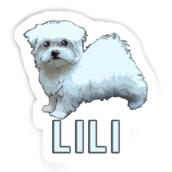 Sticker Maltese Dog Lili Image