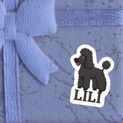 Sticker Poodle Lili Notebook Image