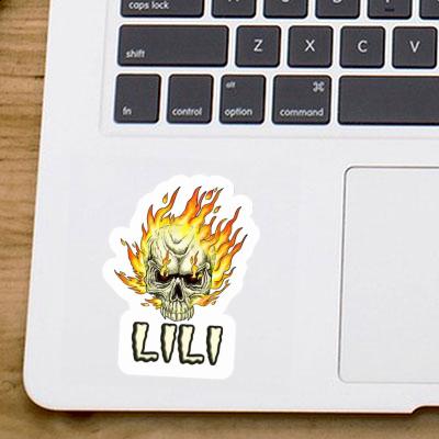 Lili Sticker Skull Gift package Image