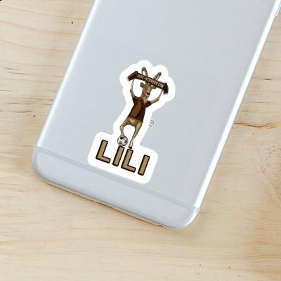 Capricorn Sticker Lili Gift package Image