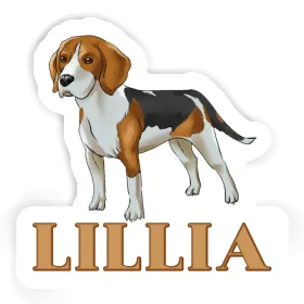 Autocollant Lillia Beagle Image