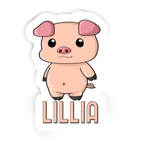 Lillia Sticker Piggy Image