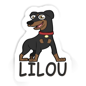 German Pinscher Sticker Lilou Image
